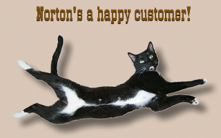 Norton's a happy Cat Corral customer!